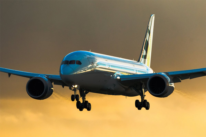 Illustration for article titled The New Boeing 787 Business Jet Is The Highest Penthouse Suite In The World